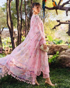 BUTTERFLY | 3 Pc Article
