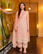 Qalamkar 3pc | Premium Dhanak | N-078