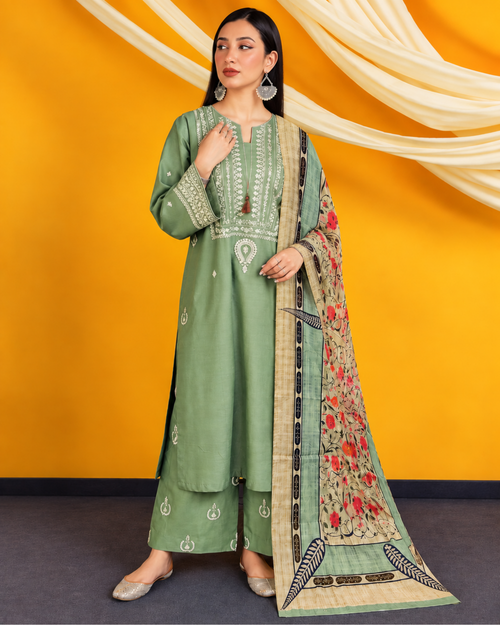 Asling | 3pc Dhanak | N-042